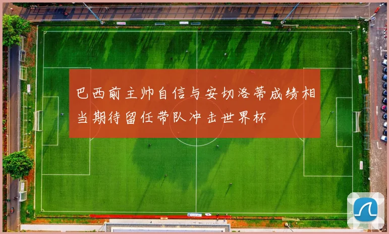 巴西前主帅自信与安切洛蒂成绩相当期待留任带队冲击世界杯